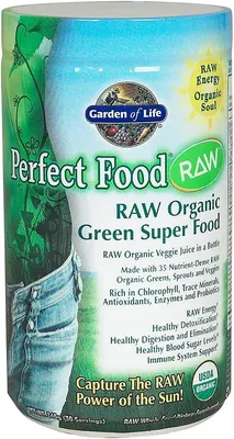 Garden Of Life Raw Organic Perfect Food | Green Superfood · Chocolate · 285 g