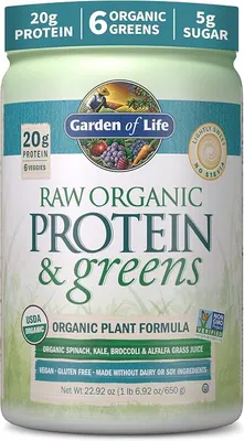 Garden Of Life Raw Organic Protein & Greens · Natural · 550 g