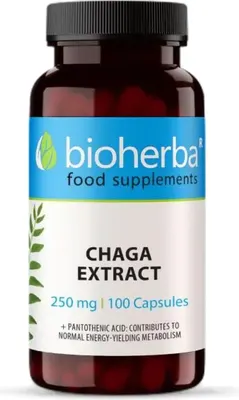 Full Spectrum Chaga Mushroom