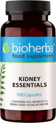 Kidney Essentials