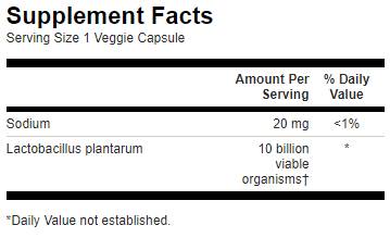 Етикет на Lactobacillus Plantarum / L Plantarum
